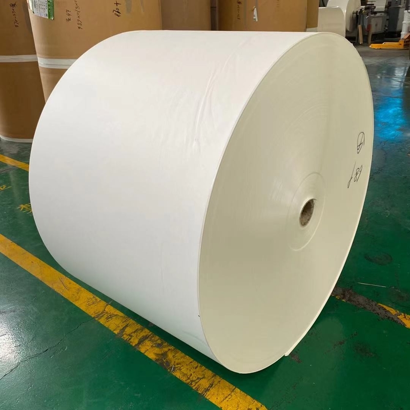 High Bulk White PE Coated Paper Roll 310gsm Kraft For Bowl Burst Resistance