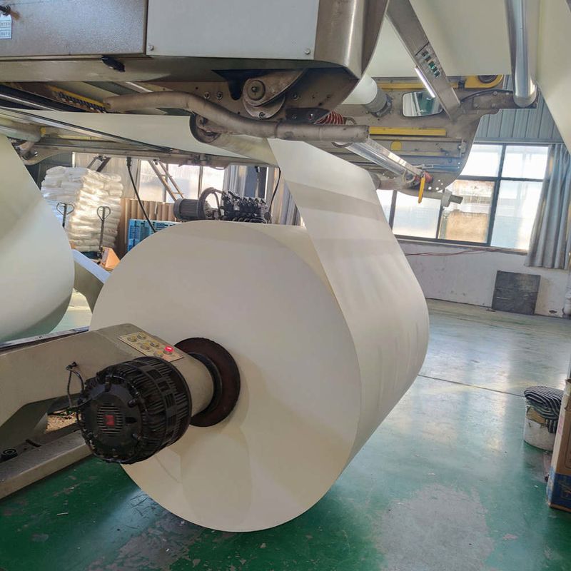 Food Grade Degradable PE Coated Paper Roll Offset Printing