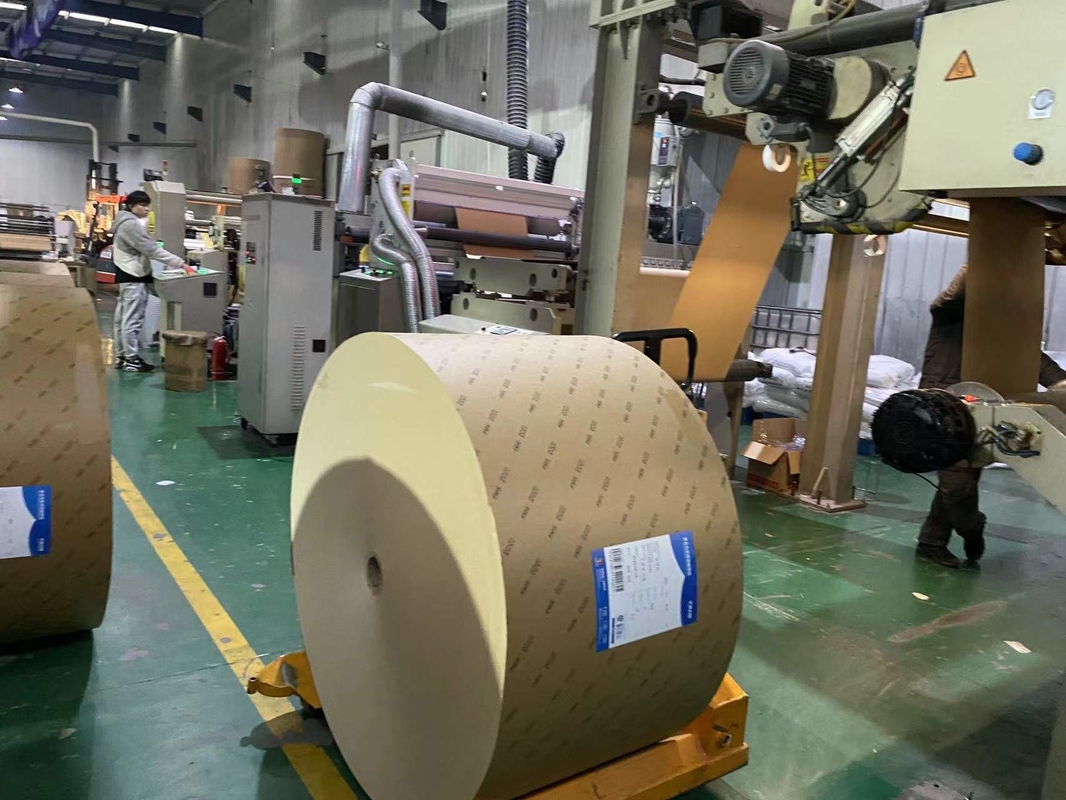 Eco-Friendly PE Coated OEM Kraft Paper Roll In Natural Color