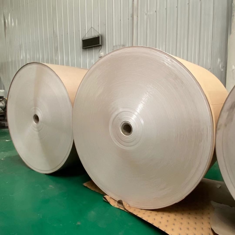 300g Jumbo Paper Roll 1200mm PE Coated Paper In Roll Chemical Pulp